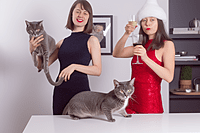 Christmas portraits